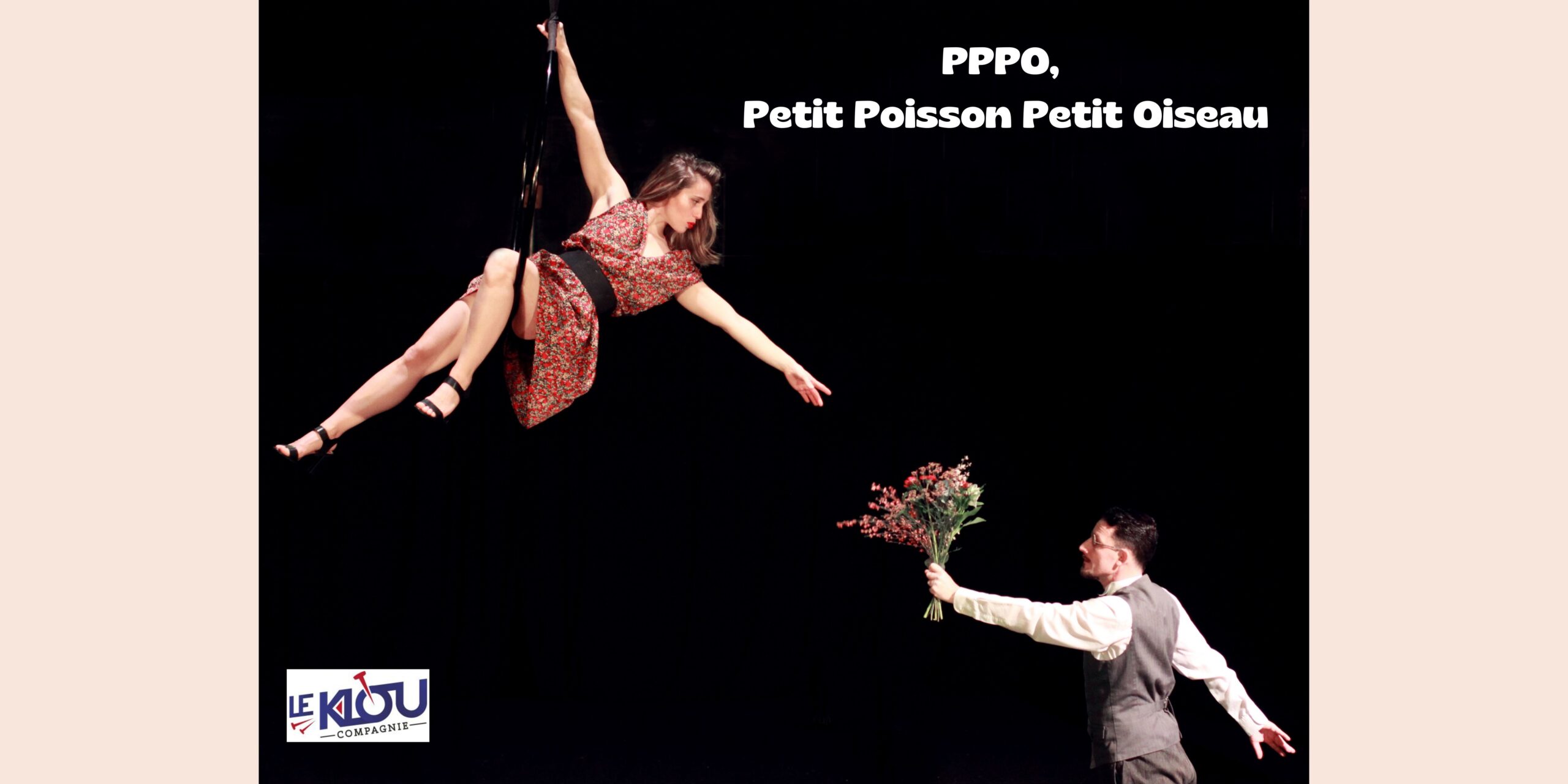 PPPO, un petit poisson, un petit oiseau